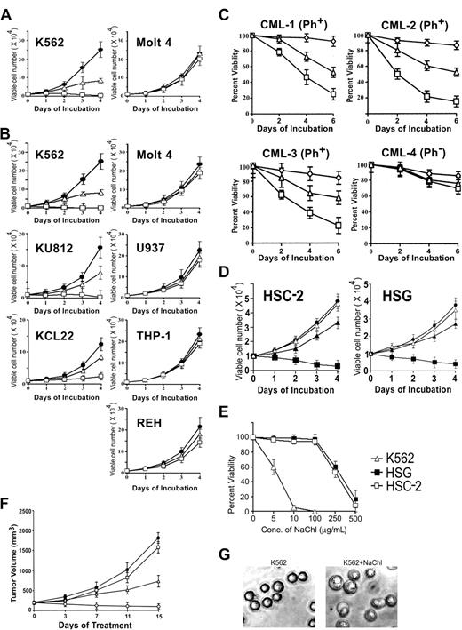 Figure 1. Effect of chlorogenic acid (Chl) and its sodium salt (NaChl) on Bcr-Abl–positive and –negative cells. (A) K562 and Molt 4 cells were cultured in medium (•) or with graded concentrations of Chl (10 μg/mL, ▵; 25 μg/mL, □) for indicated times, and viability was determined by trypan blue dye exclusion test. (B) Cells were cultured with NaChl (medium, •; 5 μg/mL NaChl, ▵; 10 μg/mL NaChl, □). (C) Mononuclear cells from 3 Bcr-Abl–positive and 1 Bcr-Abl–negative CML patient were cultured in medium containing rhGM-CSF (⋄) or with the same medium containing NaChl (5 μg/mL, ▵; 10 μg/mL, □). (D) Squamous cell carcinoma (HSC-2) and salivary gland tumor cell line (HSG) were cultured in the absence (•) or presence of varying concentrations of NaChl (100 μg/mL, ▵; 250 μg/mL, ▴; 500 μg/mL, ▪). (E) Indicated cells were cultured with varying concentrations of NaChl for 4 days and viability was determined. (F) K562 cells embedded in Matrigel were staged in nude mice until tumors reached 200 to 300 mm3. PBS (•) and NaChl (25 mg/kg, □; 100 mg/kg, ▵; 150 mg/kg, ○) were administered intraperitoneally once a day for 10 days. (G) Morphologic changes of K562 cells after 24 hours of treatment with 5.0 μg/mL NaChl (phase contrast micrographs, × 400 using Olympus CK40 microscope and Olympus SC35 Type 12 camera). Error bars denote standard deviation of 3 experiments.