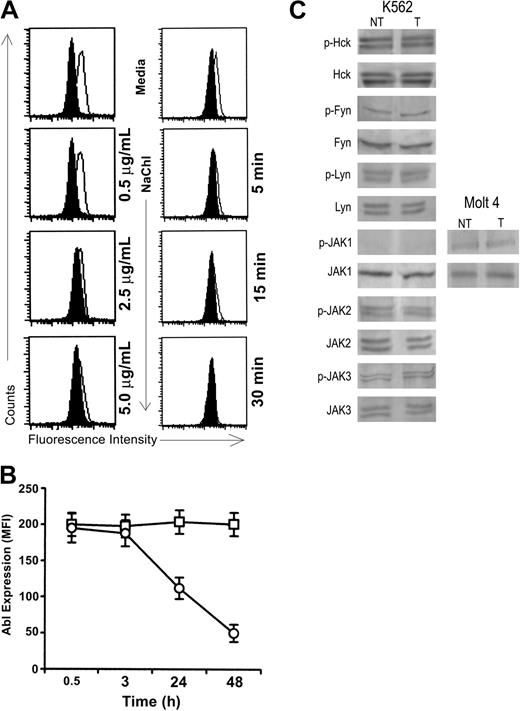 Figure 4. NaChl inhibits phosphorylation of Abl in K562 cells in a time- and dose-dependent manner without affecting Src-family kinases and JAK kinases. (A) K562 cells were treated with varying concentrations of NaChl for 30 minutes (left panel) or with 10 μg/mL NaChl for varying time periods (right panel), fixed, permeabilized, stained with anti–phospho-c-Abl (solid line) or normal rabbit sera (filled histogram), and analyzed in a flow cytometer. (B) NaChl treatment reduces Abl-protein expression in a time-dependent manner in K562 cells. Cells were treated with NaChl (10 μg/mL) for indicated times, fixed, permeabilized, and stained with anti–c-Abl antibody (□, cultured in medium; ○, cultured in the presence of NaChl). The level of expression is presented as mean fluorescence intensity (MFI). Data represent mean ± SD of 3 experiments. (C) Immunoblot-based determination of protein expression and phosphorylation status of indicated kinases in indicated cells before (NT) and after treatment for 30 minutes with NaChl (T). Experiments were performed as mentioned in the legend of Figure 3A using indicated antibodies.