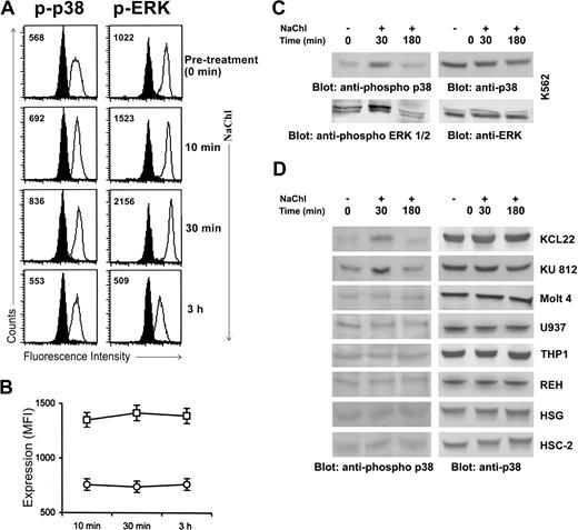 Figure 5. NaChl treatment enhances phosphorylation of p38 and ERK1/2 MAP kinases in K562 cells. (A) Cells were treated with NaChl (10 μg/mL) for indicated time periods, fixed, permeabilized, and stained with isotype-matched control mouse monoclonal antibodies (filled histogram) or anti–phospho-p38 and anti–phospho-ERK1/2 monoclonal antibodies (solid line). Values within histograms represent the specific MFI (after subtracting the control values). (B) NaChl treatment does not alter MAP kinase protein expression in K562 cells. Expression of ERK (□) and p38 (○) is presented as mean fluorescence intensity (MFI). Data presented are mean ± SD of 3 experiments. (C) Immunoblot-based determination of p38 and ERK phosphorylation in K562 cells before and after NaChl treatment. Cells were left untreated or treated with NaChl (10 μg/mL) for 30 minutes and 3 hours before analysis. (D) NaChl treatment enhances p38 phosphorylation only in Bcr-Abl–positive cells. A panel of Bcr-Abl–positive CML cell lines (KCL22, KU812), Bcr-Abl–negative lymphoid (Molt 4, REH), myeloid (U937, THP-1), squamous cell carcinoma (HSC-2), and salivary gland tumor cell line (HSG) were left untreated or treated with NaChl (500 μg/mL for HSG and HSC-2 cells and 10 μg/mL for other cells) for 30 minutes and 3 hours before analysis by immunoblots with indicated antibodies.