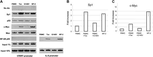 Figure 4. hTERT promoter occupancy in vivo by chromatin immunoprecipitation assay. Control PBMCs, wild-type Tax-transduced PBMCs, and mutant Tax (G148V)–transduced PBMCs were cultured in RPMI 1640 supplemented with 20% FBS and 50 U/mL IL-2 for 8 weeks and used as described in “Materials and methods.” The HTLV-I–transformed cell line MT-2 was included. The following antibodies (all from Upstate Biotechnology) were used for immunoprecipitation: anti-Sp1 (sc-59), anti-p53 (sc-126), anti–c-Myc (sc-764), anti-Max (sc-197), and anti–NF-κB p65 (sc-109). Samples with no antibody (No Ab) as negative controls and samples corresponding to 1% or 10% input as loading controls were also PCR amplified. PCR products were run on a 10% polyacrylamide gel and stained with SYBR Green I. (A) The representative results of in vivo protein binding to the hTERT promoter. For NF-κB p65, PCR products from the IL-8 promoter region as a positive control are also shown. (B) Quantitative analysis of the binding of Sp1 (B) and c-Myc (C) proteins to the hTERT promoter. The PCR products from 1% input samples were used to normalize the Sp1 and c-Myc binding in each cell line. The value of PBMCs is defined as 1.0 and those of the other 3 cell lines are expressed relatively. The data (average ± SD) are from 3 independent experiments.