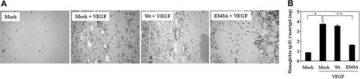 Figure 6. Mutant PILSAP inhibits angiogenesis in vivo. A mock or E343A expression plasmid was incorporated into the HVJ-envelope vector and mixed with Matrigel. Matrigel was subcutaneously injected into the abdomen of C57BL/6 mice. Sections were observed using an Olympus BH2 microscope and a high-resolution CCD color camera. Objective lens: SPlan 20×; camera: CCD Digital3 CCD camera KS630; software: Image-Processing (FLOVEL, Tokyo, Japan). The hemoglobin content of the Matrigel was determined (n = 4; *P < .01; **P < .005). Error bars indicate SDs.
