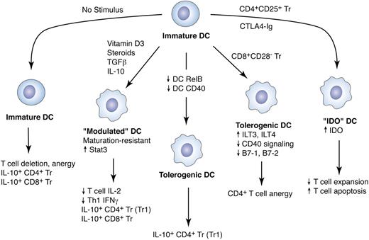 Figure 4. Tolerogenic DCs. There are a number of pathways by which immature MDCs can be rendered tolerogenic. Some of these mechanisms may overlap. The 5 mechanisms summarized here (from left to right) include antigen presentation by resting (steady-state) DCs; exposure of DCs to “modulating” cytokines such as IL-10 and transforming growth factor-β (TGFβ) or to other modulating substances such as corticosteroids and vitamin D3; targeted inhibition of the RelB transcription factor (which controls CD40 expression) or direct inhibition of CD40; DC exposure to CD8+CD28– regulatory T (Tr) cells (which have been associated with graft tolerance in patients who received transplants); and the induction of indoleamine 2,3-dioxygenase (IDO)–expressing DCs (IDO-DCs) by ligating B7-1 and B7-2 molecules on the DC with a cytotoxic T-lymphocyte–associated antigen 4 (CTLA-4)–immunoglobulin fusion protein or by CD4+CD25+ Tr cells. Immature DCs (left) can induce tolerance through the induction of abortive proliferation and anergy, as well as through the induction of IL-10–producing Tr cells.84,85,86 DCs that have been modulated by factors such as IL-10 or TGFβ (second from left) may also lead to the inhibition of effector T-cell expansion and the induction of IL-10–secreting Tr cells.87,88 Stat3 signaling within the DC appears to be critical for this effect.89 IL-10–producing Tr cells are also induced by DCs that are deficient in RelB or CD4090 (center). CD8+CD28– Tr cells induce tolerogenic DCs by up-regulating inhibitory receptors immunoglobulin-like transcript 3 (ILT3) and ILT4 on the DC surface, which ultimately leads to decreased DC expression of B7-1 and B7-2 and T-cell anergy91 (second from right). Finally, IDO-DCs (right) inhibit T-cell expansion and induce T-cell apoptosis by way of IDO-mediated tryptophan catabolism within the DCs.92-94 Both MDCs and PDCs can also be rendered tolerogenic by factors secreted by malignant tumors (not shown).95