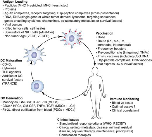 Figure 5. Clinical DC vaccines. There are many alternative approaches for the preparation and use of DC vaccines to treat cancer. DCs may be prepared ex vivo following 3 general methods (lower left), each of which results in a different mixture of cells. DCs may be matured and loaded with antigens using a variety of techniques. Some of these techniques include the addition of DC survival factors, the use of substances that induce cross-presentation, or the use of stimulators of other innate immune cells such as NKT cells. DCs loaded with RNA or DNA can take advantage of sequences encoding cytokines, chemokines, or DC survival factors. Numerous variables such as antigen dose, cell dose, and route of administration also need to be optimized. In addition, less costly and labor-intensive approaches that stimulate and load DCs with antigen in situ are being explored. There are many unresolved issues regarding the monitoring of immune responses and in correlating these responses with clinical outcome. DC vaccines may prove most effective in the adjuvant setting or in combination with other treatments.