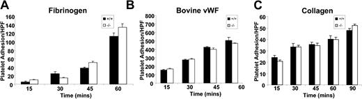 Figure 4. Static platelet adhesion to extracellular matrices. Anticoagulated whole blood from CD151+/+ and CD151–/– mice was labeled with DiOC6 (50 μg/mL) and washed platelets were isolated. Labeled platelets/mL (1 × 109 platelets/μL) were then allowed to adhere to collagen-coated (2.5 mg/mL), fibrinogen-coated (100 μg/mL), or bovine VWF–coated (20 μg/mL) coverslips in the presence of botrocetin (1 μg/mL) for 15 to 60 minutes at 37° C. Adherent platelets were fixed at different time points and visualized using fluorescence microscopy. Quantitation of adherent CD151+/+ and CD151–/– platelets was determined by analysis of images acquired using × 100 objective. These data represent the mean ± SEM from 3 independent experiments. HPF indicates high power field.