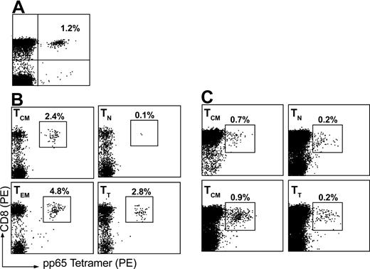 Figure 4. Analysis of antigen-specific T cells in naive and memory T-cell subsets. Tetramer complex recognizing CMV pp65 was used to assess the relative frequency CMV-specific T cells in various T-cell subsets. (A) Unsorted PBMCs were first assayed for CMV-specific T-cell frequency. (B) T cells were then sorted on the basis of CD62L and CD45RA expression and assessed for the frequency of tetramer-positive CD8+ T cells shortly after cell sorting (< 7 days) or (C) after in vitro expansion for 21 days.