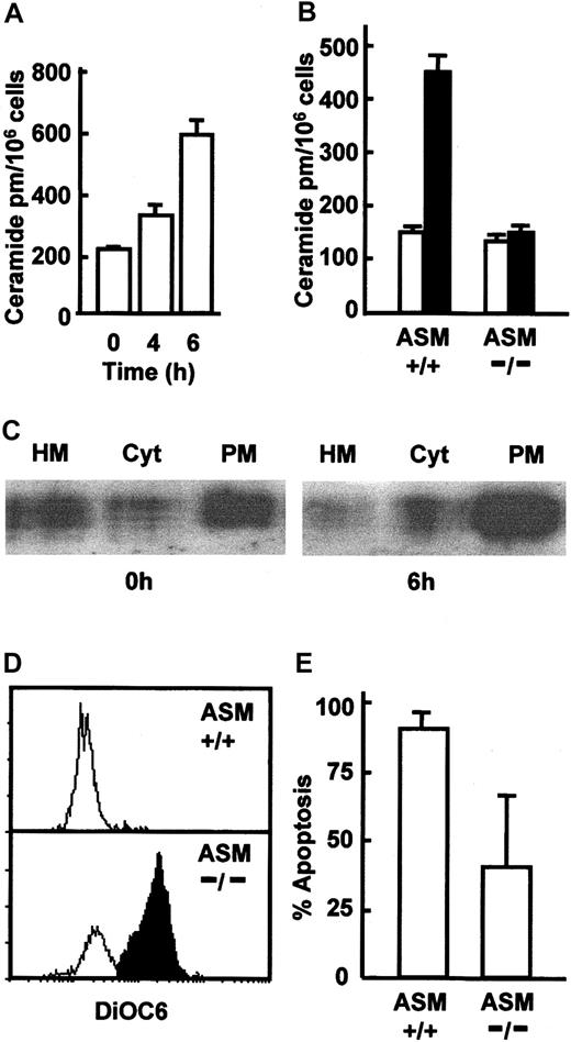 Figure 3. ASM activation and ceramide generation in neutrophil apoptosis. (A) Freshly isolated human neutrophils and neutrophils cultured for 4 and 6 hours were lysed and assayed for ceramide content (picomoles per million cells) using a DAG kinase assay. (B) Neutrophils were isolated from C57BL6 wild-type (+/+) and ASM knockout (–/–) mice, and ceramide content was determined after 0 hours (□) and 6 hours (▪) of culture. (C) Human neutrophils were incubated for 0 hours or 6 hours, lysed, and the heavy membrane (HM), cytosol (Cyt), and plasma membrane (PM) fractions isolated by differential centrifugation and probed for ASM by Western blotting. A representative of 3 experiments is shown. Neutrophils were isolated from C57BL6 wild-type (+/+) and ASM knockout (–/–) mice and cultured for 20 hours. Apoptosis was measured by loss of DiOC6 staining assessed by FACS; open area indicates DiOC6 low cells and shaded area indicates DiOC6 high cells (D) and expressed as the percentage of apoptotic cells (E). For panels B and E data are mean ± SD of 4 mice.