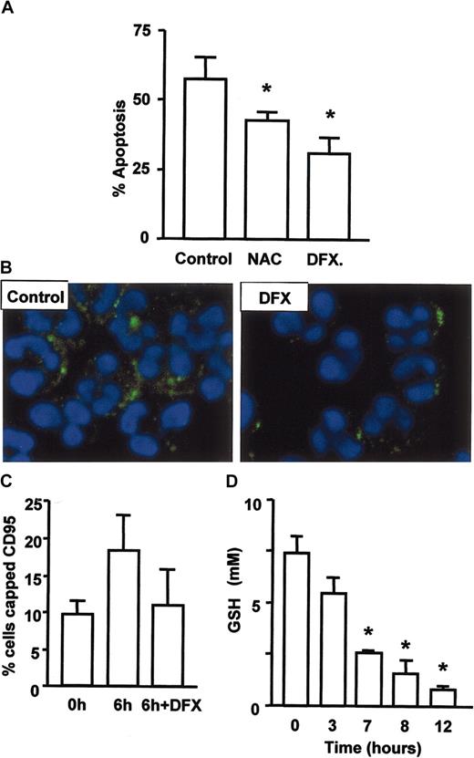 Figure 5. ROS regulate neutrophil apoptosis and CD95 clustering. (A) Apoptosis was delayed by inhibitors of oxygen radical formation. Neutrophils were cultured with 100 μM N-acetylcysteine or 10 μM desferrioxamine for 18 hours prior to assessment of apoptosis by cell morphology. Generation of ceramide and clustering of CD95 on aging neutrophils depends on the generation of hydroxyl radicals. Neutrophils were cultured with and without desferrioxamine, stained for ceramide (B) or CD95 and cells with clustered CD95 enumerated (C). (D) Intracellular levels of GSH were reduced within 3 to 7 hours of neutrophil culture to one third of the original level. Data for panels A, C, and D are mean ± SD of 3 separate experiments. *P < .05.