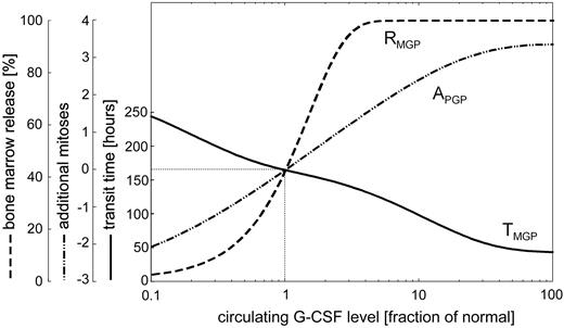 Figure 3. Dose-response curves for G-CSF effects. Quantitative relationship between the circulating G-CSF level (expressed as fraction of the G-CSF level in the normal steady state) and the 3 modes of G-CSF action. Curve APGP describes the number of additional mitoses at the stage of myeloblasts, promyelocytes, and myelocytes. TMGP describes the transit time in the postmitotic compartment, and RMGP describes the fraction of cells released from bone marrow into peripheral circulation.