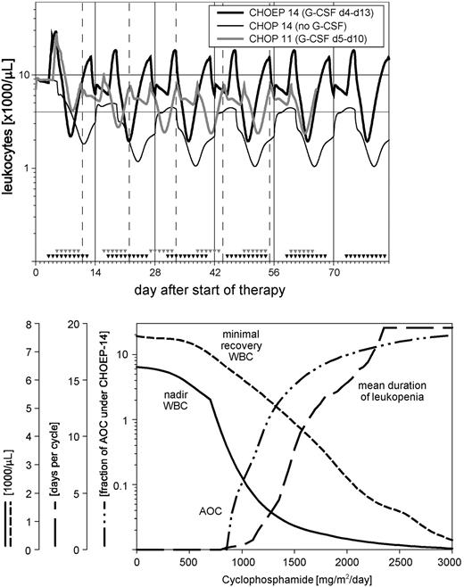 Figure 6. Model predictions for clinically untested chemotherapy regimens. The top panel shows the WBC profile of a hypothetical CHOP-14 without any G-CSF assistance and a hypothetical CHOP-11 compared with CHOEP-14 (as defined in Table 3). The bottom panel shows the quantitative relationship between cyclophosphamide and 4 toxicity measures (see “Results” for further explanation).