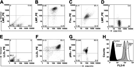 Figure 1. Tetramer staining of human and mouse CD8+ T-cell lines. CD8 T-cell lines were incubated with anti-CD8 mAb and peptide–MHC class I–specific tetramers. The percentage of tetramers and CD8 double-positive T cells is shown in the upper right quadrant of each plot. (A) The panel shows that 0.02% of EBV-negative human peripheral blood mononuclear cells (PBMCs) tested positive for LMP1/HLA-A2 tetramers. (B) The panel shows that 92% of LMP1 peptide–specific CD8 T cells bound to LMP1 tetramers. (C) The panel shows that 87% of Flu-specific CD8 T cells bound to Flu58-66/HLA-A2 tetramers. (D) Less than 1% of the human Flu-specific CD8+ T cells tested positive for the LMP1/HLA-A2 tetramers. (E) The panel shows that 0% normal mouse spleen CD8 T cells bound the LLO91-99/H-2Kd tetramers. (F) More than 80% of the mouse splenic CD8 T-cell line bound LLO91-99/H-2Kd tetramers. (G) The panel shows that 90% of the p60217-225-specific T-cell line tested positive for p60217-225 tetramer staining. (H) Only mildly decreased binding to their cognate CD8 T cells by dimeric/trimeric compared with trimeric/tetrameric MHC constructs was observed.