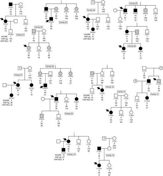 Figure 1. Pedigrees for 14 families affected by VWD. Black symbols indicate affected individuals (VWF: RCo ≤ 45 U/dL, if blood group non-O; ≤ 35 U/dL, if blood group O); gray symbols, individuals with bleeding severity scores ≥ 3; and white symbols, otherwise healthy individuals. Arrows indicate index cases within each pedigree.