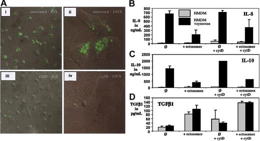 Figure 3. Confocal microscopy of phagocytosis and phagocytosis independent anti-inflammatory activity of ectosomes. (A) HMDMs were incubated with fluorescently labeled ectosomes for 30 minutes, fixed, and analyzed by confocal laser microscopy (i-ii). Alternatively, macrophages were preincubated cytochalasin D (cytD) prior to the addition of ectosomes (iii-iv). The lens used was a Zeiss Plan-Neofluar 40× and 100× from Zeiss AG (Feldbach, Switzerland). The imaging medium was Vectashield fluorescence mounting medium (Vector Laboratories, Burlingame, CA). The camera was a Zeiss Axiovert Laser Scanning Microscope (LSM510) from Zeiss AG (Feldbach, Switzerland). The acquisition software was LSM510 Software (Zeiss). (B-D) HMDMs were incubated with medium alone or with medium supplemented with zymosan for 24 hours. Alternatively, ectosomes were added to the incubation medium with or without preincubating the macrophages with cytD. Error bars indicate standard deviation of the mean.