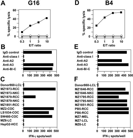 Figure 5. Allogeneic CTL clones define antigens restricted to renal cells or to renal and colon tumors. CTL G16 and B4 were cloned from MLTC-1 on CD8+ T lymphocytes of healthy donor 860 and the HLA class Ia–matched RCC line MZ1257-RCC. (A,D) CTL-mediated cytolysis was tested against MZ1257-RCC (▪), MZ1257-LCL (▴), and K562 (○) in 4-hour 51Cr-release assays. Results are given as percentage of specific lysis at indicated E/T ratios. (B,E) HLA class I restriction of CTLs reactive against MZ1257-RCC was identified by adding different anti-HLA mAbs in 20-hour IFN-γ ELISPOT assays. (C,F) Cross-reactivity pattern of CTLs observed in 20-hour IFN-γ spot assays against allogeneic target cell lines expressing HLA-A2 for CTL G16 and HLA-B7 for CTL B4, respectively. Results shown are representative of at least 20 different targets tested per CTL. Spot assays were plated with 5000 CTLs/well in triplicates.