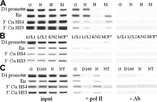 Figure 7. ChIP assays of RNA Pol II binding to the cyclin D1 promoter and IgH regulatory regions. (A) Pol II bound to the cyclin D1 promoter in the cyclin D1+ MCL cell lines Granta (G), NCEB-1 (N). Pol II also bound to IgH regulatory regions (Eμ, HS4, HS3) in Granta, NCEB-1, and Manca (M) cells, which contain chromosomal translocation involving IgH regulatory elements. Myeloid HL60 cells were used as a negative control. (B) MCF7, a cyclin D1+ breast cancer cell line, demonstrated Pol II binding in the cyclin D1 promoter region but not the IgH regulatory elements. EBV-immortalized human B cells, LCL1 and LCL2, showed Pol II binding in the Eμ intronic enhancer region. K562 was used as a negative control. (C) Normal human CD4+ T cells (NT) and activated T-cell clone (D160) showed no Pol II binding in either region. Granta (G) and NCEB-1 (N) were used as positive controls.