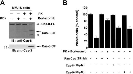 Figure 5. PK + bortezomib–induced apoptosis is associated with activation of caspase-8 and caspase-3. (A) MM.1S cells were treated with PK (50 μM), bortezomib (2 nM), or PK + bortezomib for 24 hours; cytosolic proteins were separated by 12.5% SDS-PAGE and analyzed by immunoblotting with anti–caspase-8 (top panel) and anti–caspase-3 (bottom panel) Abs. Blots are representative of 3 independent experiments. FL indicates full length; CF, cleaved fragment. (B) PK + bortezomib–induced apoptosis is mediated by both caspase-8, caspase-9 >> caspase-3 pathway. MM.1S cells were treated with PK + bortezomib alone or in the presence of caspase-8 inhibitor, caspase-9 inhibitor, or pan–caspase-3 inhibitor for 24 hours; harvested; and assessed for viability using MTT assays. Results are means ± SDs of 3 independent experiments (P < .005).