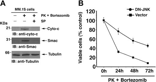 Figure 7. JNK is involved during PK + bortezomib-induced apoptosis in MM cells. (A) SP6000125 (SP), inhibitor of JNK, abrogates PK + bortezomib–induced release of Smac or cyto-c. MM.1S cells were treated with PK (50 μM) + bortezomib (2 nM) in the presence or absence of SP600125 (SP) and harvested at 24 hours. Cytosolic proteins were separated by 12.5% SDS-PAGE and analyzed by immunoblotting with anti–Cyto-c or anti-Smac (top and middle panels) Abs. As a control for equal loading of proteins, filters were also reprobed with antitubulin Ab (bottom panel). Blots are representative of 3 independent experiments with similar results. (B) Overexpression of DN-JNK enhances resistance to PK + bortezomib. Cells were transiently transfected with cDNA expression construct containing GFP with either DN-JNK (•) or empty vector (▪). Following transfections, GFP-positive cells were selected by flow cytometry; treated with PK (50 μM) + bortezomib (2 nM) for 24 hours, 48 hours, or 72 hours; and analyzed for cell viability by MTT assay (P = .05, as determined by one-sided Wilcoxon rank-sum test). Error bars indicate standard error.