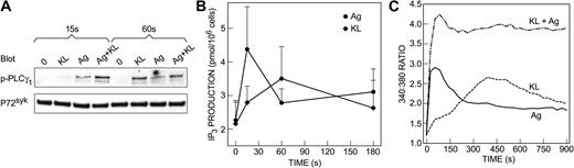 Figure 2. Both KL and antigen stimulate PLCγ1 phosphorylation; production of inositol 1,4,5-trisphosphate; and calcium mobilization. Human mast cells were incubated overnight in the presence of anti–4-hydroxy-3-nitrophenylacetyl–IgE in the absence of KL and IL-6. Cells were not stimulated or were stimulated with 100 ng/mL KL, antigen (Ag), or both in combination for the periods indicated to assess the extent of tyrosine phosphorylation of PLCγ1 (p-PLCγ1) by immunoblotting (A); intracellular concentrations of inositol 1,4,5-trisphosphate (IP3; B); and concentration of intracellular-free Ca2+ (C) as described in “Materials and methods.” Data are from 1 of 3 representative experiments (A,C) or are the mean ± SEM of values from 3 separate experiments (B). The data in panel C indicate the ratio of fluorescence at 510 nm when Fura-2–loaded cultures in multi-well plates were excited at 340 nm and 380 nm and are the average value from 3 cultures.