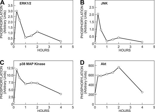 Figure 5. Time course of phosphorylation of MAP kinases and Akt in response to antigen. Cells were incubated overnight with antigen-specific IgE, IL-6, and KL (nondeprived cells). Cells were then stimulated with 100 ng/mL antigen for the indicated periods of time as described for Figure 4. Immunoblots were quantitated bydensitometric scanning. Similar results were obtained in a second experiment.