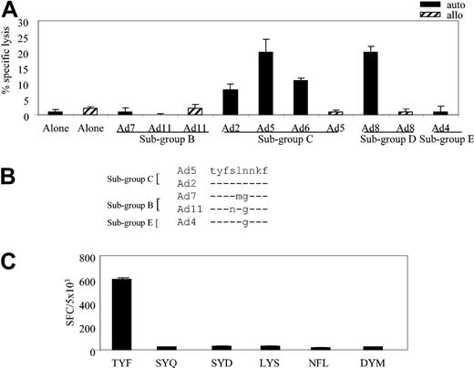 Figure 4. HLA-A*24–restricted adenovirus-specific T-cell clone 16 is subgroup C and D specific. (A) Cytolytic activity of adenovirus-specific, A*24-restricted clone 16 (E/T 20:1), incubated with autologous and allogeneic fibroblast targets, either alone or transduced with the indicated Ad serotypes. (B) Alignment of peptide sequences from the indicated Ad serotypes. (C) Hexon-specific, A*24-restricted T-cell response (clone 16 from donor 1) by ELISPOT assay. Autologous LCL targets were pulsed with 1 μg/mL of the indicated peptides and then used as stimulators in an ELISPOT assay, with clone 16 T cells serving as responder cells. Results are expressed as SFCs per 5 × 103 T cells.
