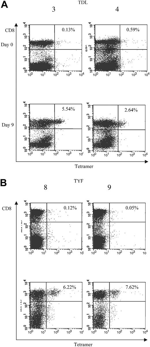 Figure 6. Analysis of T-cell frequencies by tetramer. Frequencies of (A) TDL- and (B) TYF-specific T cells in PBMCs and CTL lines following one Ad stimulation. PBMCs (day 0) and CTL lines (day 9) from A*1-positive (3 and 4) and A*24-positive donors (8 and 9) were screened for the percentage of tetramer-positive T cells.