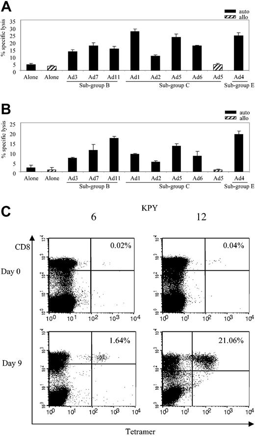 Figure 7. Cross-reactivity and frequency of HLA-B*7–restricted adenovirus-specific T-cell responses. (A) Cytolytic activity of adenovirus-specific, MPN-specific B*7-restricted clone 32 (E/T 20:1) against autologous and allogeneic fibroblast targets either alone or transduced with the indicated Ad serotypes. (B) Cytolytic activity of adenovirus-specific, KPY-specific B*7-restricted clone 12 (E/T 20:1) against autologous and allogeneic fibroblast targets either alone or transduced with the indicated Ad serotypes. (C) PBMCs (day 0) and CTL lines (day 9) from B*7-positive donors (6 and 12) were screened for the percentage of KPY-specific tetramer-positive T cells.