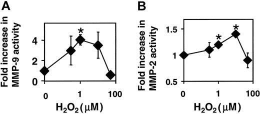 Figure 5. Exogenous H2O2 activates endothelial cell–associated MMP-2 and MMP-9. (A) MMP-9 activity. (B) MMP-2 activity. mHEVc cells were incubated with 0, 0.3, 1, 3, and 50 μM H2O2 for 10 minutes. The cells were washed, then equal cell numbers were lysed, and MMP activity was examined by zymography. H2O2 had no effect on cell viability (data not shown). Data presented are the mean ± SD from 5 experiments. *P < .05 compared with nonstimulated mHEVc cells.