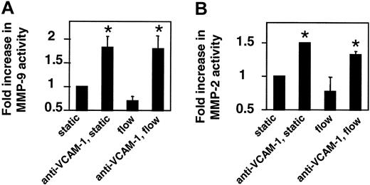 Figure 6. VCAM-1 activation of endothelial cell MMP-2 and MMP-9 is not altered by laminar flow. Confluent endothelial cells on glass slides were incubated with anti–VCAM-1 beads and exposed to static conditions or 2 dynes/cm2 laminar flow for 15 minutes. Medium was removed and cells were examined by zymography. The same number of beads was bound for static and laminar flow conditions (data not shown). Data presented are the mean ± SD from 2 experiments. *P < .05 compared with control (nonstimulated, static mHEVc).