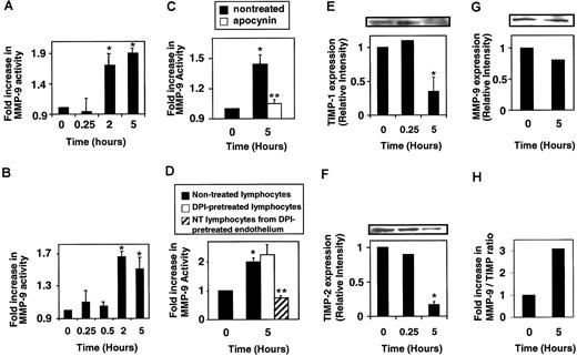 Figure 7. Lymphocyte-associated MMP-9 is activated by lymphocyte binding to VCAM-1. Mouse spleen cells were isolated, and red blood cells were removed by hypotonic shock. (A) mHEVc cells were incubated with spleen cells at 37° C. Nonbound cells were removed after 15 minutes because this yielded maximal cell adhesion.4 At the times indicated, bound lymphocytes were collected by reversing their binding with blocking anti–VCAM-1 antibody3 and washed. Equal cell equivalents were examined by zymography as described in Figure 2. (B) Spleen cells were incubated with 1 μM H2O2 at 37° C. (C) mHEVc cells were pretreated with apocynin (4 mM) for 30 minutes. Nonbound cells were removed after 15 minutes. Bound lymphocytes were recovered and analyzed as described for panel A. (D) mHEVc cells or lymphocytes were pretreated with diphenyliodonium (DPI; 5 μM) for 30 minutes and washed prior to coculture with nontreated (NT) lymphocytes or nontreated mHEVc cells, respectively. Nonbound cells were removed after 15 minutes of coculture. Bound lymphocytes were recovered and analyzed as described for panel A. (E-H) Lymphocytes were incubated with 1 μMH2O2 as in panel B. Western blots were performed with equal cell number by using mouse antimouse TIMP-1 (clone 102B1) or TIMP-2 (clone 67-4H11) antibodies (1:1000; Oncogene, EMD Biosciences, La Jolla, CA) or a rabbit antimouse MMP-9 antibody (1:500; Biomol). (E) TIMP-1. (F) TIMP-2. (G) MMP-9. (H) MMP-9/TIMP ratio. Data presented are the mean ± SD from 2 experiments. *P < .05 compared with nonstimulated lymphocytes (0 hours). **P < .05 compared with nontreated lymphocytes at 5 hours.