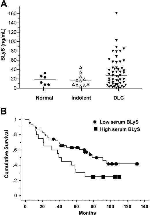 Figure 6. Serum BLyS levels in NHL are elevated and correlate with overall patient survival. (A) Serum BLyS levels were analyzed by ELISA in specimens obtained from healthy individuals (n = 6) or patients with indolent (n = 11) and DLC lymphoma (n = 56). Serum concentrations in patients were compared to those in healthy controls. The solid line represents the median value for the group. (B) Kaplan-Meier analysis was done to compare the survival of patients with low BLyS levels (< 40 ng/mL) at diagnosis to those with high levels (> 40 ng/mL). Patients with high levels had a significantly worse outcome (P = .05).