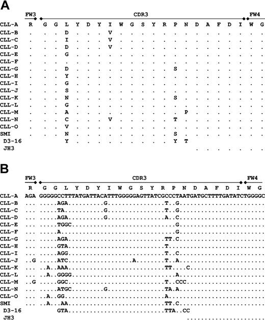 Figure 2. Amino acid and nucleotide sequences of the CDR3 of virtually identical Ig heavy chains expressed by unrelated CLL patients. Alignments of the amino acid (A) and nucleotide (B) sequences of the CDR3 of the fifteen 51p1-encoded heavy chains are shown, compared with CLL sample A (CLL-A). Dots indicate homology at that position. Listed on the left margin is the designation for each CLL sample. Labels above indicate the relative positions of FW3, CDR3, and FW4. The sequences of the CDR3 of the SMI heavy chain and the germ-line sequences of the D3-16 and JH3 genes are included at the bottom for reference.