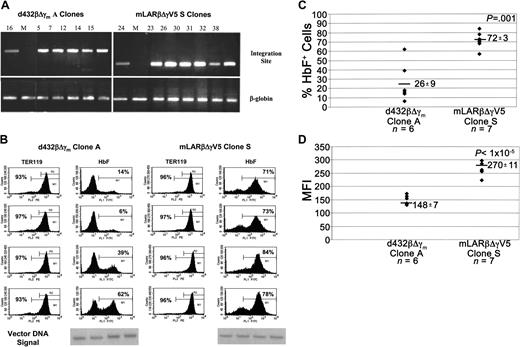 Figure 4. Expression of the mLARβΔγV5 γ-globin vector in multiple isolates of a single-copy clone is less susceptible to variegating position effects. (A) Top panels: PCR analysis of genomic DNA for the different d432βΔγm clone A and mLARβΔγV5 clone S isolates, using integration site–specific primers. Bottom panels show PCR amplification using β-globin primers as a positive control. The numbers above the lanes represent the clone numbers, and M indicates a mock-transduced CFU-S isolate. (B) FACS analysis for TER119 and HbF expression in representative CFU-S isolates of d432βΔγm clone A and mLARβΔγV5 clone S. Analysis was as in Figure 3 with the percentage of TER119+ and HbF+ cells indicated in the histograms for each isolate. Shown below is the vector DNA signal for each clone as determined using Southern blot analysis. (C) The percentage of HbF+ cells as determined by FACS analysis is shown for each isolate of the indicated d432βΔγm and mLARβΔγV5 clones. The mean ± SEM of HbF+ cells for each group is shown, with the mean indicated by the solid horizontal bar. The P value indicates a statistically significant difference between the mean values of the 2 groups. (D) The MFI of staining with the HbF monoclonal antibody is shown for the different d432βΔγm clone A and mLARβΔγV5 clone S isolates. The mean ± SEM MFI values for each group are shown, with the horizontal solid bar indicating the mean value for each group of clones. The P value indicates a statistically significant difference between the mean values of the 2 groups.