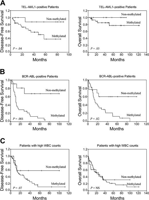 Figure 4. Kaplan-Meier survivor function for selected prognostic groups of ALL patients. DFS and OS curves according to the methylation profile. (A) TEL-AML1+ ALL patients. (B) BCR-ABL+ ALL patients. (C) Patients with high WBC count at diagnosis.