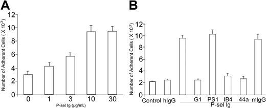 Figure 1. P-selectin increases adhesion of neutrophils to fibrinogen. (A) Neutrophils were isolated from fresh human blood and added to 96-well tissue culture plates coated with fibrinogen. For the dose-response curve, neutrophils were incubated with indicated concentrations of P-selectin Ig chimera (P-sel Ig). (B) Neutrophils were incubated with human IgG (hIgG) or P-selectin Ig chimera (P-sel Ig), and added to wells coated without fibrinogen (control) or with fibrinogen. For antibody inhibition experiments, P-selectin Ig chimera (P-sel Ig), was preincubated with G1 F(ab′)2 (a leukocyte adhesion-blocking mAb to P-selectin) or PS1 F(ab′)2 (a leukocyte adhesion-nonblocking mAb to P-selectin) prior to addition of neutrophils. Alternatively, neutrophils were preincubated with IB4 (a leukocyte adhesion-blocking mAb to β2 subunit), 44a (a leukocyte adhesion-blocking mAb to αM subunit), or mouse IgG (mIgG), prior to addition to the fibrinogen-coated wells. After washing, the bound neutrophils were quantified by MPO activities. The numbers of bound neutrophils were calculated according to the standard curves of MPO activities measured using the known amounts of neutrophils. All results are expressed as the mean ± SD values of the adherent cells determined in triplicate measurements of more than 3 separate experiments.
