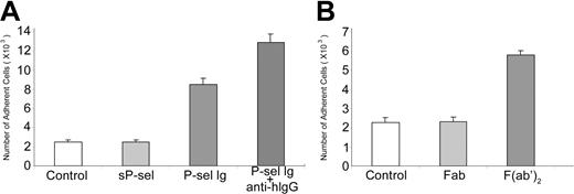 Figure 3. PSGL-1 cross-linking up-regulates αMβ2. (A) Neutrophils were incubated with 10 μg/mL sP-selectin (sP-sel), P-selectin Ig chimera (P-sel Ig), and P-selectin Ig chimera cross-linked by F(ab′)2 fragment of anti–human IgG (Fc specific; anti-hIgG), respectively. The differences between sP-sel and control were statistically insignificant (P > .05), whereas the differences between P-sel Ig or P-sel Ig plus anti-hIgG and control were statistically significant (P < .01). (B) Neutrophils were treated with 10 μg/mL Fab or F(ab′)2 fragment of PL1. They were then transferred into the wells coated with fibrinogen. Other steps of the cell adhesion assay were same as for Figure 1. All results are expressed as the mean ± SD values of the adherent cells determined in triplicate measurements of 3 separate experiments. The differences between Fab and control were statistically insignificant (P > .05), whereas the differences between F(ab′)2 and control were statistically significant (P < .01).