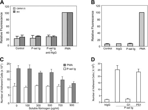 Figure 4. Effects of PSGL-1 ligation on αMβ2. (A) Neutrophils were incubated with mAb IB4 or CBRM1/5 and Alexa Fluor 488–conjugated goat antibody to mouse IgG without (control) or with P-selectin Ig chimera (P-sel Ig) or PMA. They were then centrifuged through a cushion of FCS and fixed in 1% paraformaldehyde in PBS for flow cytometric analysis. Results are the representative of 3 independent experiments. (B) Neutrophils were incubated with Alexa Fluor 488–conjugated fibrinogen, in the absence (control) or presence of human IgG (hIgG), P-selectin Ig chimera (P-sel Ig), and PMA. The samples were processed as described in panel A. Results are the representative of 3 independent experiments. (C) Neutrophils were incubated with PMA or P-selectin Ig chimera (P-sel Ig) in the presence of an increasing concentration of soluble fibrinogen and then transferred to the wells coated with fibrinogen. The results of cell adhesion assays are expressed as the mean ± SD values of the adherent cells determined in triplicate measurements of 3 separate experiments. (D) Neutrophils were incubated with human IgG (hIgG) and P-selectin Ig chimera (P-sel Ig) in the presence of G1 or PS1 F(ab′)2 prior to adding them to the wells immobilized with moAb CBRM1/5. After washing, the bound neutrophils were quantified by MPO activities. All results are expressed as the mean ± SD values of the adherent cells determined in triplicate measurements of 3 separate experiments.