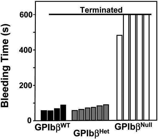 Figure 3. Tail bleeding time assays. Offspring produced from GP IbβHet × GP IbβHet crosses were subjected to tail bleeding time assays prior to their genotyping. Results are shown for 5-week-old animals and the cessation of bleeding time was recorded. Four animals, later genotyped as GP IbβNull, failed to stop by bleeding by 10 minutes, at which point the tail was cauterized. Shown are the data obtained from individual animals.