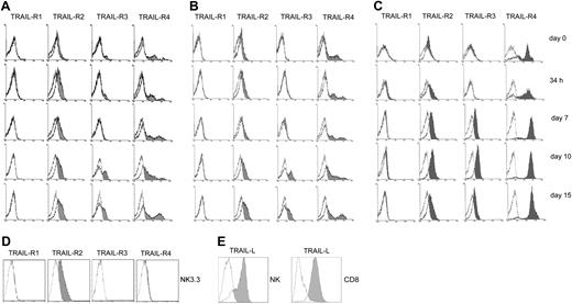 Figure 2. Flow cytometry analysis of the surface expression of TRAIL-Receptors and TRAIL ligand in NK and CTL cells. (A) IL-2–stimulated NK cells. (B) IL-15–stimulated NK cells. (C) CD8+ T cells, at different times of activation. (D) Surface expression of TRAIL-Rs by the NK-like cell line NK 3.3. The cell line was routinely cultured in RPMI 1640 + 15% FCS + 100 U/mL rIL-2. (E) Expression of surface TRAIL-ligand (TRAIL-L) by activated (day 10) NK and CD8+ T cells. Empty histograms indicate isotype-matched irrelevant antibody, negative controls.