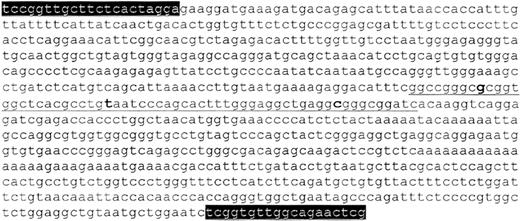 Figure 2. Sequence across the approximate 31.5-kb deletion. The 62-bp consensus sequence is underlined, with the 3 variant bases in bold. The precise breakpoint lies somewhere in the 16 bp between the first and second variant bases. The consensus region is preceded by 353 bp of 5′ sequence and followed by 421 bp of 3′ sequence. PCR primer sequences are highlighted.
