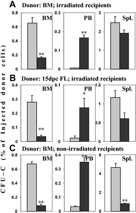 Figure 3. Effects of PTX incubation of hematopoietic progenitor cells on homing. Lethally irradiated hosts received transplants of BM or FL cells, and nonirradiated hosts received transplants of BM cells from neo-resistant donors. Transplants incubated in SCF for 20 hours in the absence or presence of PTX were injected into the hosts. After 24 hours, recovery of CFU-Cs (neo-resistant CFU-Cs in the nonirradiated hosts) from BM, peripheral blood, and spleen was assessed in colony assays. Numbers are given as the percentage of injected CFU-Cs per femur (mean ± SEM), per milliliter blood, and per spleen. ▦ indicates control cells; and ▪, PTX-treated cells. **P < .005. *P < .01 compared with control. (A) Homing of PTX-treated adult BM CFU-Cs to BM was reduced more than 75%. Concomitantly, circulating CFU-Cs were several-fold increased in recipients of PTX-treated cells. (B) BM homing of PTX-treated day-15 FL CFU-Cs also was reduced by more than 75%, with a similar increase of circulating CFU-Cs. (C) In nonirradiated hosts, BM homing of PTX-treated BM CFU-Cs was similarly reduced as in irradiated hosts, and circulating CFU-Cs were similarly increased. In contrast to the irradiated spleens, nonirradiated spleens also showed greatly attenuated homing (> 75% decrease) of PTX-treated donor CFU-Cs from adult BM.