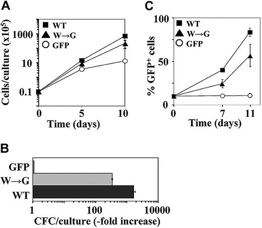Figure 3. W→G substitution in the PBX-interacting motif abolishes the in vitro proliferation function of HOXB4. (A) Expansion of total nucleated cells over a 10-day period in cultures initiated with sorted GFP+ cells. ▪ indicates HOXB4(WT); ▴, HOXB4(W→G); and ○, control GFP. Results represent mean value ± SD of a representative experiment (n = 5) performed in duplicate. (B) In vitro expansion over a 10-day period of myeloid CFCs derived from the indicated populations of transduced BM cells. Results represent mean values ± SD of a representative experiment (n = 2) performed in quadruplicate cultures. ▪ indicates HOXB4 cells; ▦, HOXB4(W→G) cells; and □, GFP cells. (C) Expansion of GFP+ cells in liquid cultures initiated with 10% GFP+ cells (▪, HOXB4(WT)+; ▴, HOXB4(W→G)+; ○, control GFP+) and 90% nontransduced competitors. Results represent mean values ± SD of a representative experiment (n = 3) performed in duplicate.