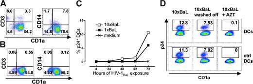 Figure 1. HIV-1BaL infection of in vitro-differentiated, monocyte-derived, human DCs. Flow cytometry was used to phenotypically characterize immature DCs generated from plastic adherent monocytes (A) or control DCs generated from monocytes isolated from PBMCs by negative selection (B) obtained after 6 days of culture in the presence of IL-4 and GM-CSF by determining the frequencies of CD1a+, CD3+, and CD14+ cells. Immature DCs were exposed to 2 different doses (1 × or 10 ×) of the CCR5-using isolate HIV-1BaL. The frequency of HIV-1BaL-infected DCs was determined by intracellular p24 staining after 4, 24, 48, 52, and 72 hours of virus exposure (C). The figure shows median values of 5 individual donors. Immature DCs (D, top row) or control DCs (D, bottom row) were exposed to 10 × HIV-1BaL for 72 hours or the virus was washed off after overnight incubation and cultured for 72 hours in the absence or presence of 10 μM AZT. Gates were set on large CD1a+ CD3- cells. The frequency of HIV-1BaL-infected DCs was determined by intracellular p24 staining after 72 hours.