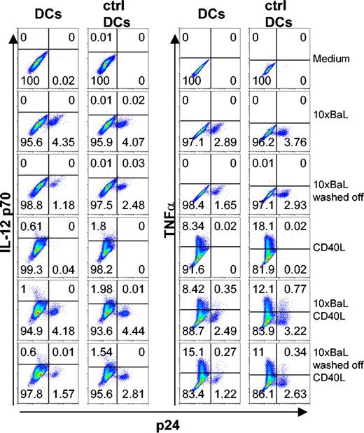 Figure 4. HIV-1BaL p24+ DCs produce TNFα but fail to produce IL-12 p70 in response to CD40L stimulation. Immature DCs and control DCs were exposed to 10 × HIV-1BaL for 72 hours with or without CD40L stimulation for the final 6 hours (TNFα) or 24 hours (IL-12 p70). As an additional control, the HIV-1BaL was washed off after overnight incubation and the DCs were cultured for 72 hours with or without CD40L stimulation for the final 6 hours (TNFα) or 24 hours (IL-12 p70). The figure shows intracellular cytokine production in p24- and p24+ DCs and control DCs after no stimulation (medium), HIV-1BaL exposure 72 hours (10× BaL), HIV-1BaL exposure overnight and cultured for 72 hours (10 × BaL washed off), CD40L stimulation alone, or HIV-1BaL exposure followed by CD40L stimulation. Gates were set on large CD1a+ CD3- cells. Numbers indicate frequency of stained DCs.
