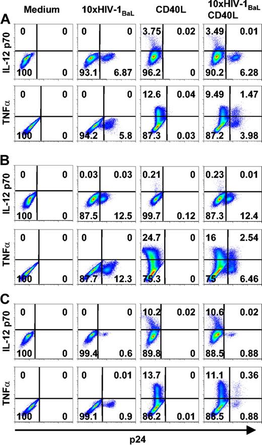 Figure 5. DCs highly susceptible to HIV-1BaL infection produce less IL-12 p70 than DCs more resistant to infection. Immature DCs were exposed to 10 × HIV-1BaL for 72 hours with CD40L stimulation during the final 6 hours (TNFα) or 24 hours (IL-12 p70). The figure shows intracellular cytokine production in p24- and p24+ DCs after no stimulation (medium), HIV-1BaL exposure alone, CD40L stimulation alone, or HIV-1BaL exposure followed by CD40L stimulation in 3 different donors (A, B, and C, respectively). The figure shows data representing donors with an intermediate susceptibility to HIV-1BaL infection (A), a high susceptibility to HIV-1BaL infection (B), and a low susceptibility to HIV-1BaL infection (C), and their IL-12 p70 and TNFα production after CD40L stimulation. Gates were set on large CD1a+ CD3- cells. Numbers indicate frequency of stained DCs.