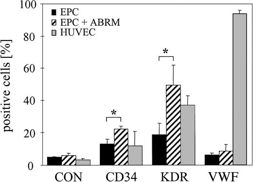 Figure 3. Flow cytometry of progenitor and endothelial markers. Percentage of CD34+, KDR+, and VWF+ HUVECs (▦) and EPCs (▪) from the mononuclear cell fraction of human peripheral blood. EPCs were treated for 24 hours with ABRM (▨) from HUVECs. IgG-FITC antibody was used as a control (CON). Mean ± SD, n = 4, *P < .05.