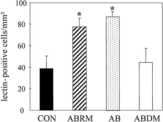 Figure 4. Effect of apoptotic bodies on the number of lectin-positive EPCs. Bar graphs represent the number of untreated lectin-FITC+ spindle-shaped EPCs (CON) and their number after treatment with ABRM, apoptotic bodies (AB), or ABDM. Mean ± SD, n = 3, *P < .05.