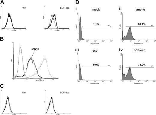 Figure 2. SCF on virus particles redirects binding and facilitates transduction of MO7e cells. (A) Virus-binding assays. MO7e cells cultured in GM-CSF were incubated with retroviral supernatants, washed, and stained for the presence of bound virus by incubation with anti-SU monoclonal antibody. The lighter trace represents cells alone and the heavy trace represents that obtained in the presence of virus. The ecotropic virus is shown in the left panel and the SCF-eco virus is shown in the right panel. (B) Down-regulation of c-kit expression in response to soluble SCF. MO7e cells were cultured in the presence of GM-CSF or for 24 hours in fresh medium containing SCF and then stained for expression of surface c-kit. The light trace is cells stained with a mouse IgG1 isotype control, the dotted trace is from cells grown in GM-CSF, and the heavy trace is from cells grown for 24 hours in SCF. (C) MO7e cells cultured for 24 hours in SCF were incubated with viral supernatant and stained with anti-SU, as described in panel A. The ecotropic virus is shown in the left panel and the SCF-eco virus is shown in the right panel. (D) Transduction of MO7e cells by ecotropic retrovirus incorporating surface SCF. Cells from the c-kit+ cell line MO7e were incubated with retroviral supernatants as indicated below and transduction was evaluated by flow cytometry to detect the presence of the EGFP reporter gene. The percentage of fluorescent cells is indicated in each panel. Mock-transduced cells (i), cells transduced with amphotropic virus (ii), cells transduced with ecotropic virus (iii), and cells transduced with SCF-eco virus (iv).