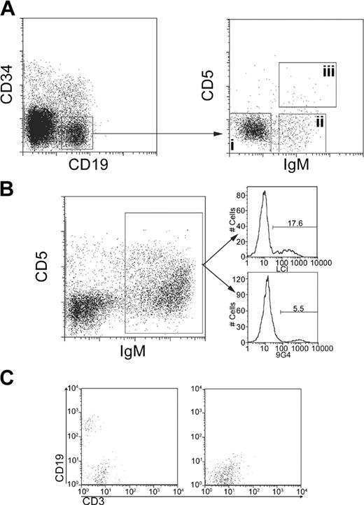 Figure 1. Cell sorting of transplanted cell populations. (A) Cells were obtained for immunoglobulin sequencing. At 8 weeks after transplantation, cells were collected from the spleen and bone marrow of chimeric mice that had received transplants of CD34+ lymphoid progenitors (in the case of fetal and adult bone marrow) or cord blood mononuclear cells. Cells were enriched for human cells by depleting mouse myeloid and macrophage lineage positive cells. CD34-CD19+ cells (left box) were sorted into surface IgM- CD5- (i), IgM+ CD5- (ii), or IgM+ CD5+ (iii) populations (right box) in the bone marrow and spleen (the latter with the exception of surface IgM- cells). (B) Anti-V gene antibodies were used to determine the contribution of the VH4 family to the chimeric repertoire. Surface IgM+ cells (left) were stained with monoclonal antibodies that together recognize all VH4 family members. 9G4 recognizes VH4-34 immunoglobulins and LC1 recognizes all VH4 family members except VH4-34. Thus 17.6% of the repertoire was LC1 positive and 5.5% of the repertoire was positive for 9G4 binding, which combined equals 23.1% of cells that express an immunoglobulin using a member of the VH4 family. These monoclonal antibodies were also used to determine the contributions of VH4-34 (recognized by 9G4) relative to the other VH4 family members (recognized by LC1). 9G4 staining cells comprised 23% of cells that stain for any member of the VH4 family (not related to the percentage of VH4 staining cells among the entire cell population). (C) CD34- cells from adult bone marrow do not stably engraft NOD/SCID mice. Mice received transplants of either adult bone marrow CD34+ cells (left) or cord blood CD34- cells (right). Engraftment was compared by screening the peripheral blood first for human CD45+ cells followed by CD19 and CD3.