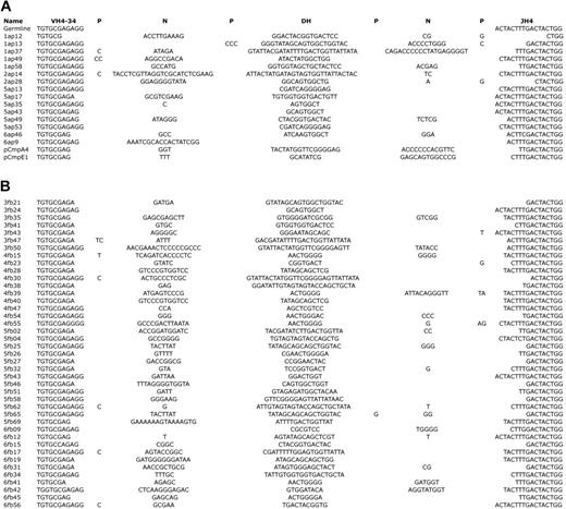 Figure 4. Junctional nucleotide distribution and exonuclease activity. HCDR3s for VH4-34 with JH4 rearrangements are shown for sIgM+ adult (A) and fetal (B) LP chimera sequences. Germline sequences for comparison are shown along with N and P nucleotides and DH segments.