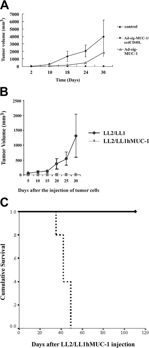 Figure 5. Effect of 2 subcutaneous injections (7 days apart) of 1 × 108 pfu of the Ad-sig-ecdhMUC1/ecdCD40L vector on the in vivo growth of the hMUC1-positive LL2/LL1hMUC1 cancer cell line in hMUC1.Tg mice. (A) Two subcutaneous injections (7 days apart) of 1 × 108 pfu Ad-sig-ecdhMUC1/ecdCD40L vector suppresses the growth of the human MUC1-positive LL2/LL1hMUC1 cancer cell line. The Ad-sig-ecdhMUC1/ecdCD40L vector or the Ad-sig-ecdhMUC-1 vector was injected twice at 7-day intervals or was not injected with any vector. One week after the second vector injection, the mice were injected with 5 × 105 LL2/LL1hMUC1 cancer cells, which were positive for hMUC1, and the growth of these cells was measured with calipers. (B) The Ad-sig-ecdhMUC1/ecdCD40L-induced suppression is specific for the hMUC1 antigen. hMUC1.Tg mice were injected twice subcutaneously (7 days apart) with 1 × 108 pfu Ad-sig-ecdhMUC1/ecdCD40L vector twice at 7-day intervals. One week after the second vector injection, the mice were injected with 5 × 105 LL2/LL1hMUC1 cells positive for the hMUC1 antigen or the same number of LL2/LL1 cells negative for the hMUC1 antigen. (C) Survival of LL2/LL1hMUC1 cell line-injected hMUC1.Tg mice that were twice (7 days apart) subcutaneously vaccinated or not vaccinated with 1 × 108 pfu Ad-sig-ecdhMUC1/ecdCD40L vector. Mice that received the injections outlined in panel A were monitored for survival after injection of the LL2/LL1hMUC1 cells. Continuous bold line indicates mice injected with the Ad-sig-ecdhMUC1/ecdCD40L vector. Broken bold line indicates mice not injected with a vector.