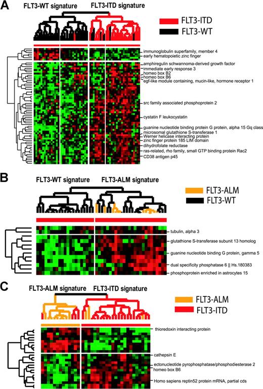 Figure 1. Hierarchic clustering supervised by PAM analysis of FLT3-WT versus FLT3-ITD and FLT3-ALM, and FLT3-ITD versus FLT3-ALM samples. (A) The hierarchic clustering defined by PAM analysis of FLT3-WT versus FLT3-ITD samples; overall misclassification error is 11%. The difference in EFS between these 2 branches is 48% versus 24% (P = 0.1). (B) The differential gene expression between FLT3-WT and FLT3-ALM samples had a higher overall classification error rate, and was unable to differentiate FLT3-ALM samples from all FLT3-WT samples. (C) We show hierarchic clustering of FLT3-ITD versus FLT3-ALM samples. Overall misclassification rate is 19% and differences in gene expression may be related to their different clinical behavior, and to differences in mean age and mean WBC at presentation.